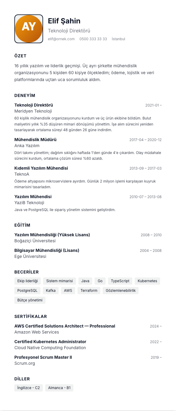 Kamu / Resmi Başvuru CV şablonu - uzun kariyer geçmişi örneğiyle
