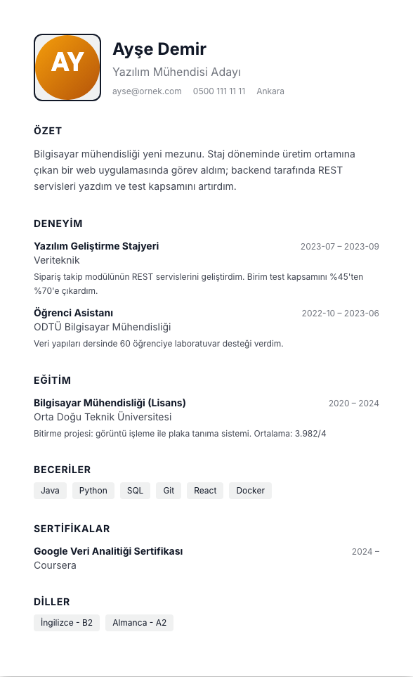 Kamu / Resmi Başvuru CV şablonu - yeni mezun CV'si örneğiyle