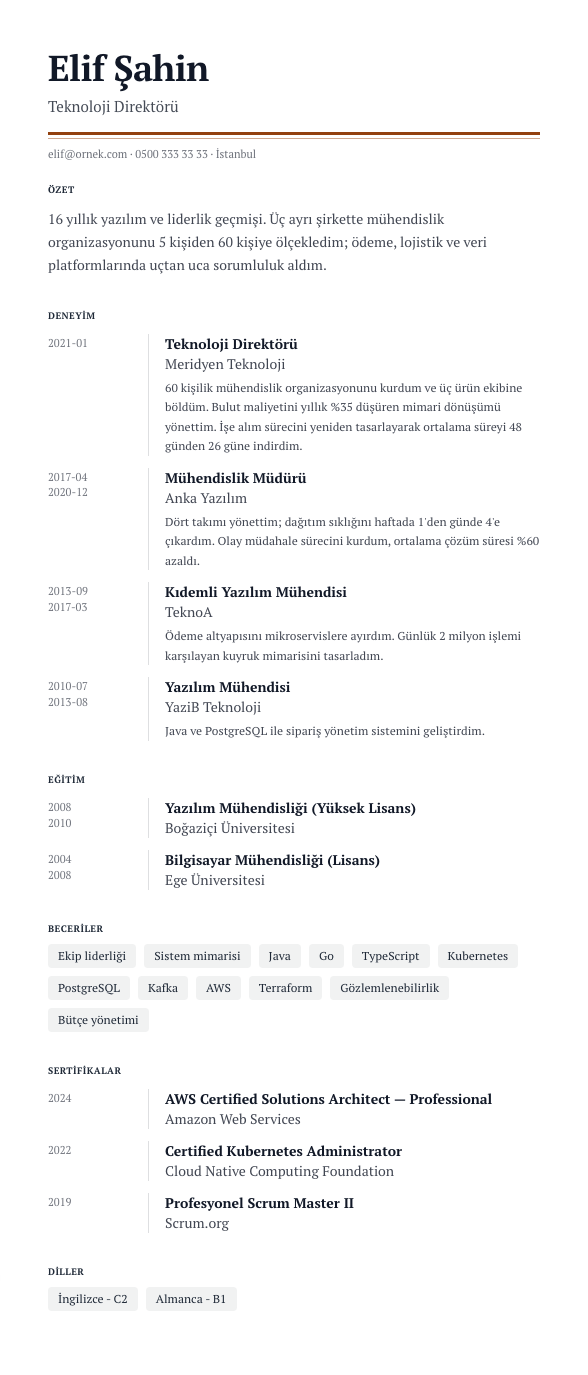 Kapak Dosyası CV şablonu - uzun kariyer geçmişi örneğiyle