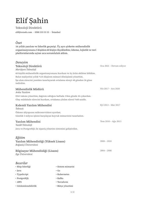 Kenar Notu CV şablonu - uzun kariyer geçmişi örneğiyle