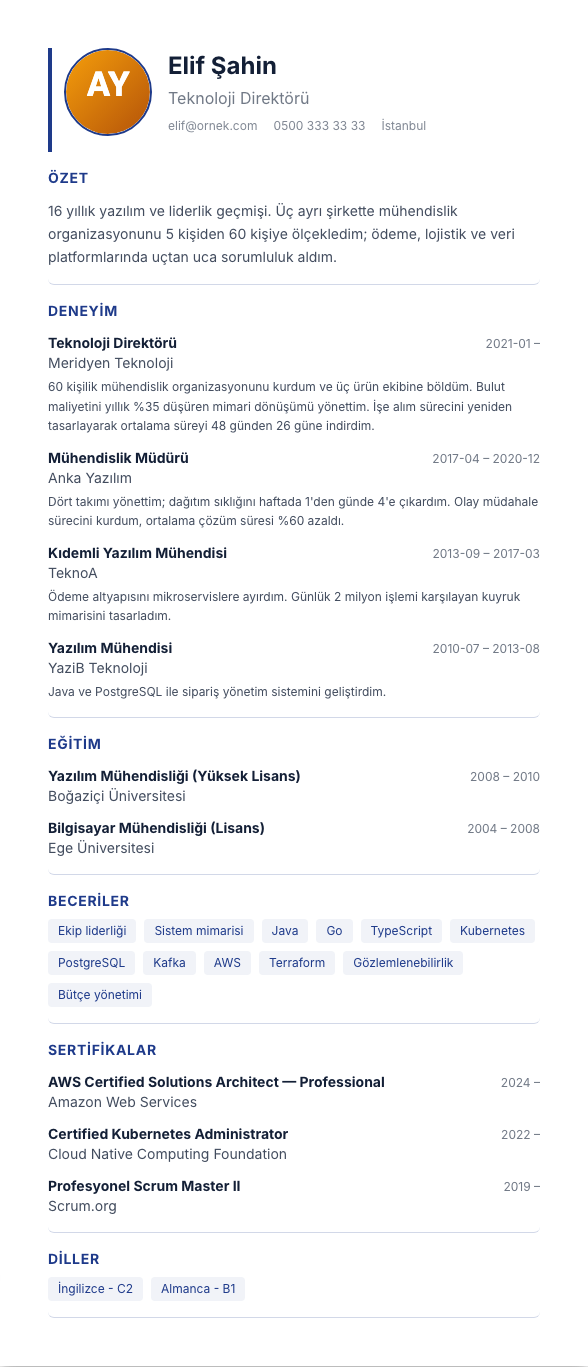 Klasik TR CV şablonu - uzun kariyer geçmişi örneğiyle