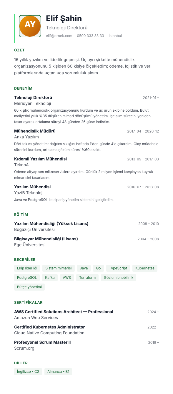 Klinik Sakin CV şablonu - uzun kariyer geçmişi örneğiyle