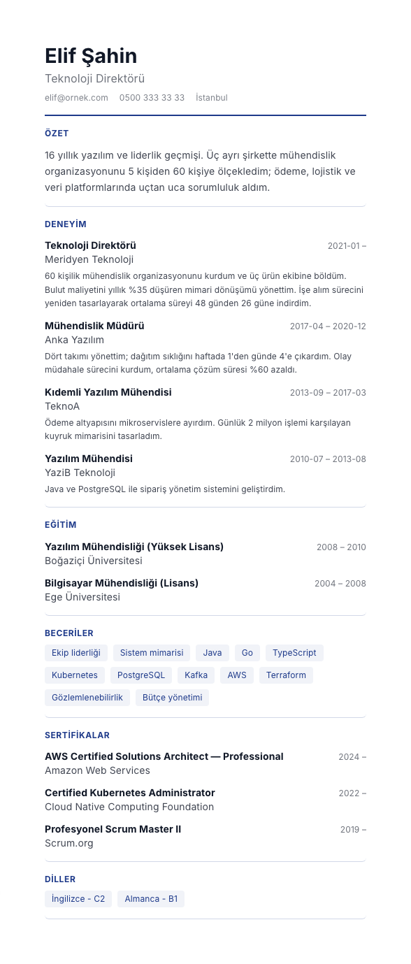 Kobalt Hat CV şablonu - uzun kariyer geçmişi örneğiyle