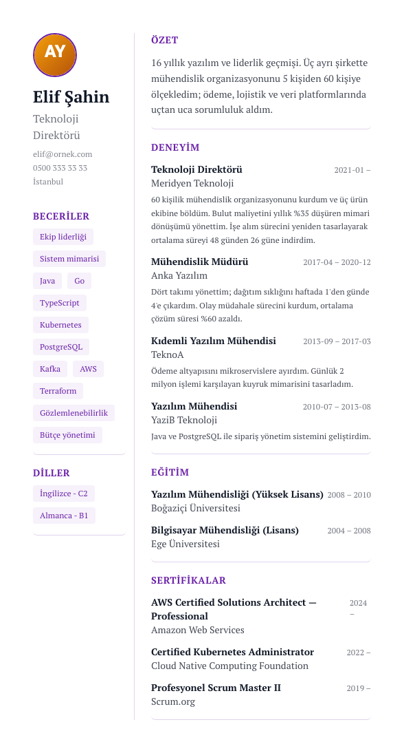 Kreatif Foto CV şablonu - uzun kariyer geçmişi örneğiyle