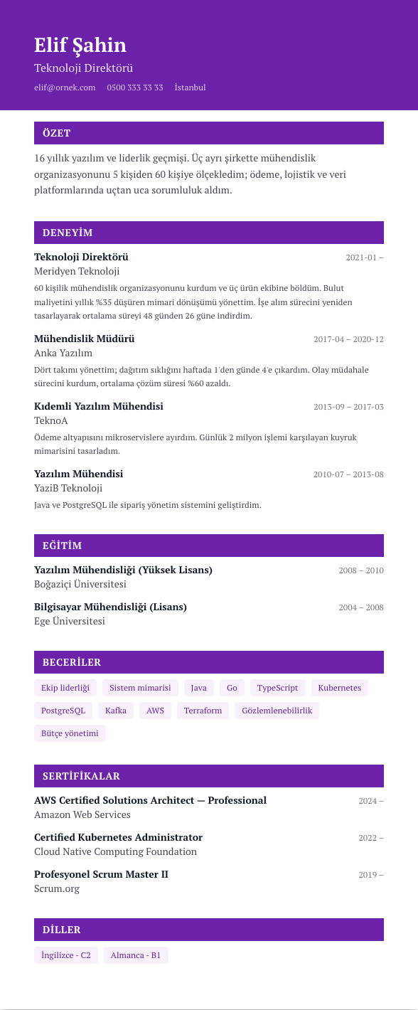 Kreatif Tek Kolon CV şablonu - uzun kariyer geçmişi örneğiyle