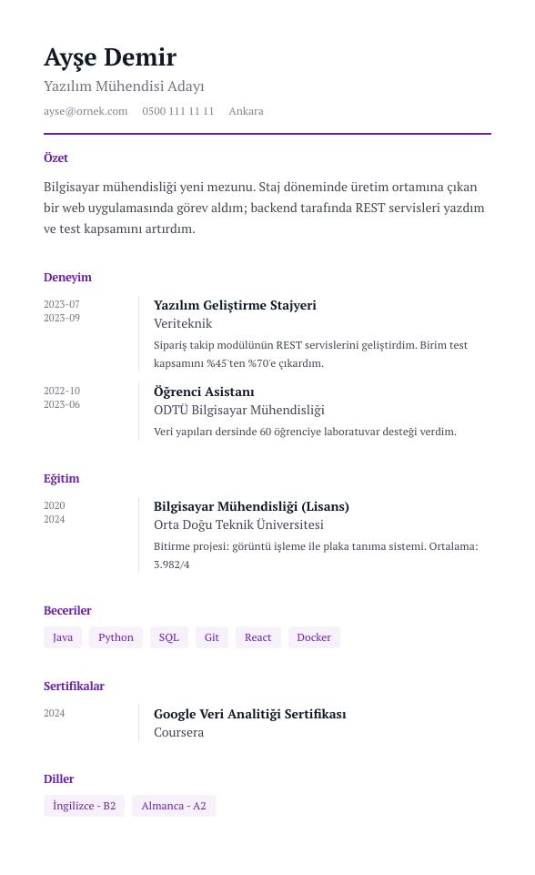 Kronoloji CV şablonu - yeni mezun CV'si örneğiyle