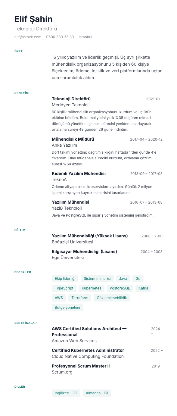 Künye CV şablonu - uzun kariyer geçmişi örneğiyle