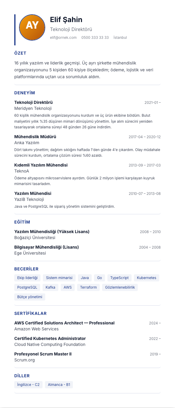 Kurumsal TR CV şablonu - uzun kariyer geçmişi örneğiyle