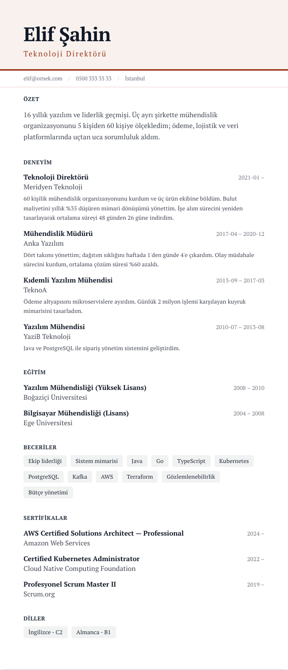 Manşet CV şablonu - uzun kariyer geçmişi örneğiyle