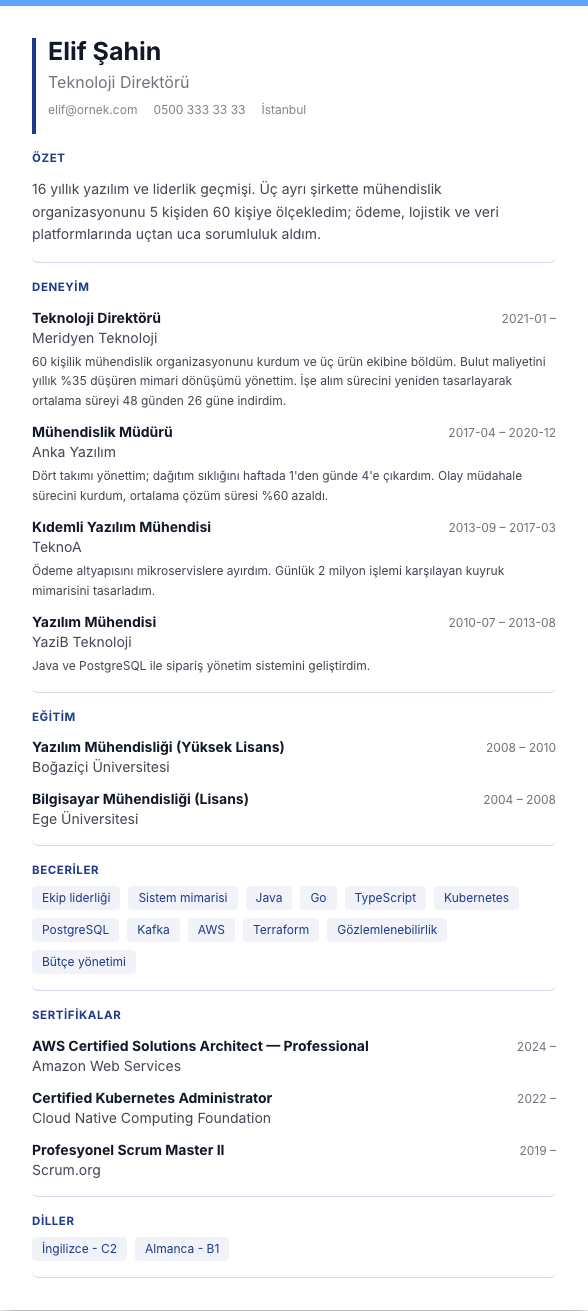 Mavi Plan CV şablonu - uzun kariyer geçmişi örneğiyle