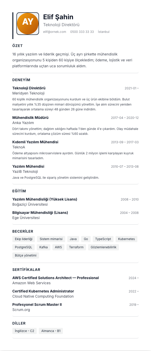 Mavi Yaka CV şablonu - uzun kariyer geçmişi örneğiyle