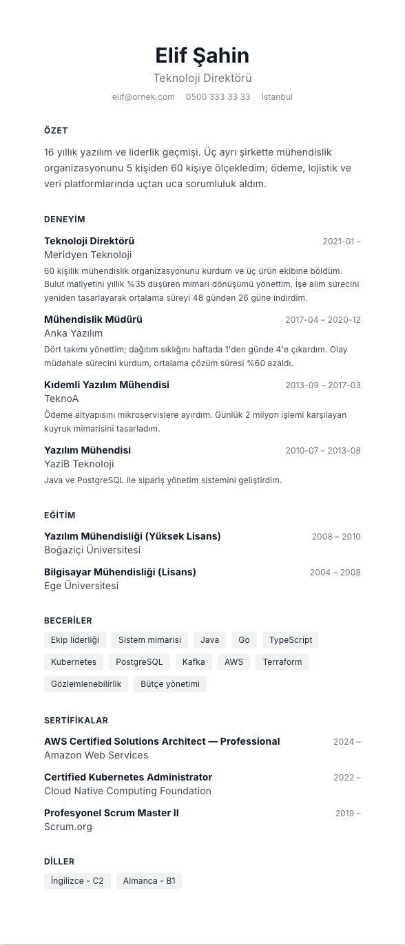 Mimari Çizgi CV şablonu - uzun kariyer geçmişi örneğiyle