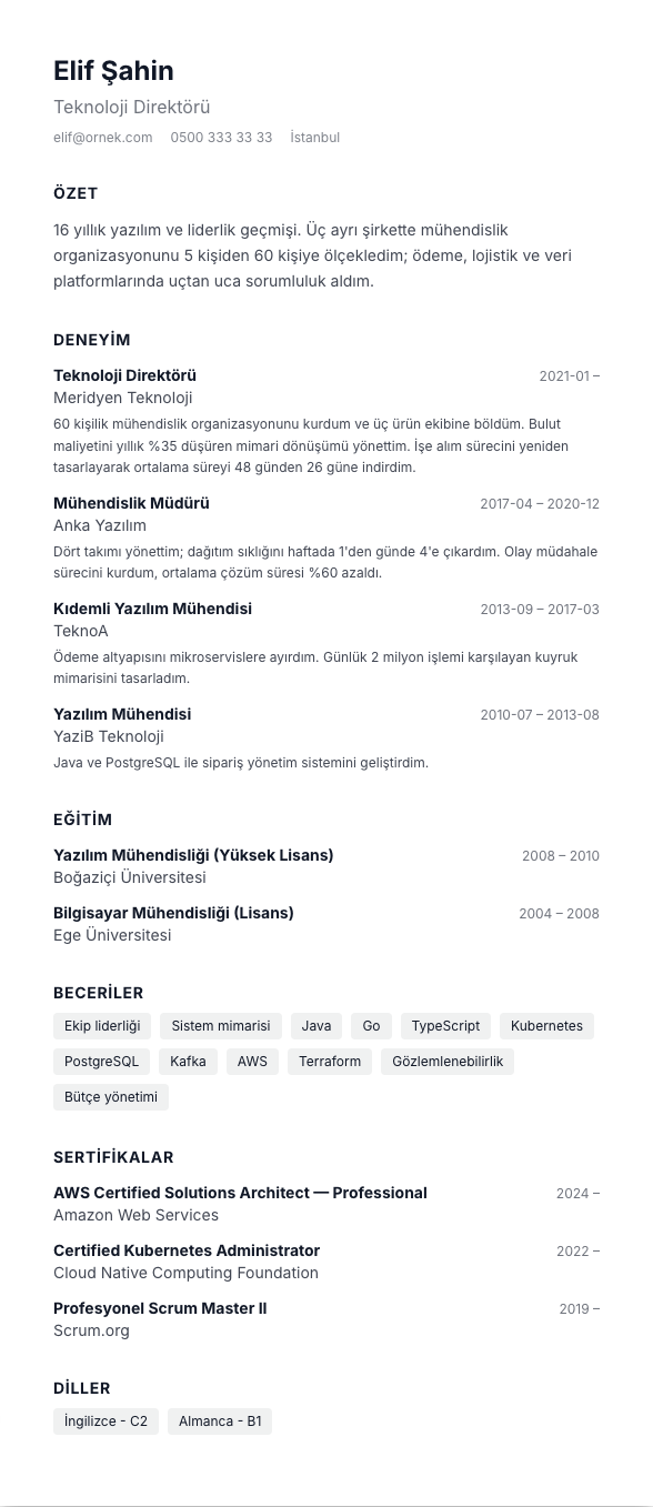Minimal CV şablonu - uzun kariyer geçmişi örneğiyle