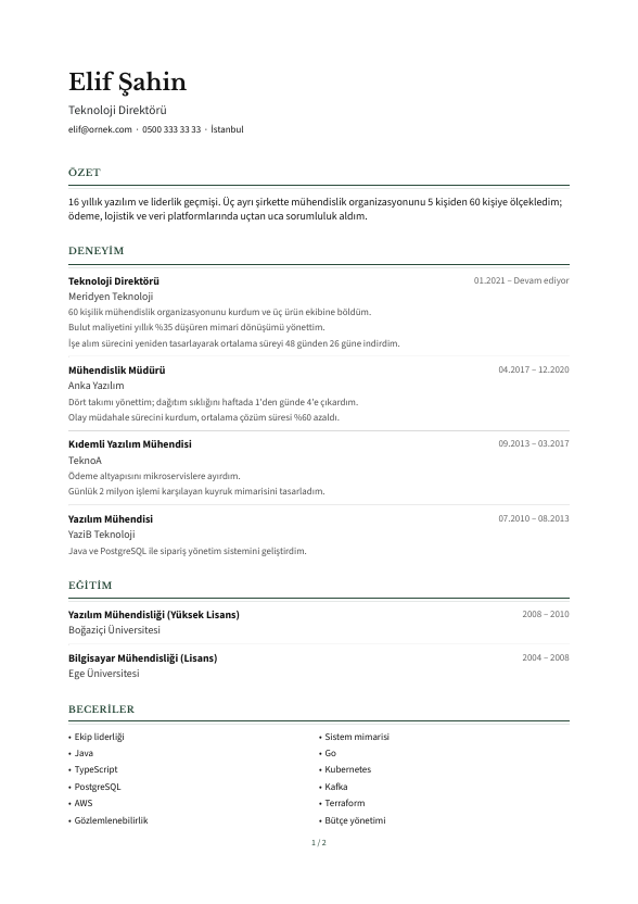 Mizan CV şablonu - uzun kariyer geçmişi örneğiyle