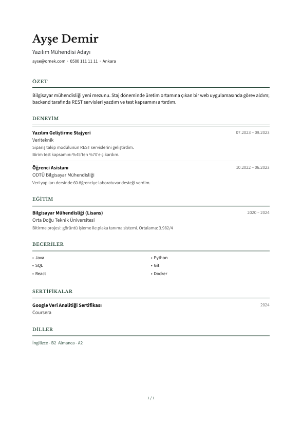 Mizan CV şablonu - yeni mezun CV'si örneğiyle