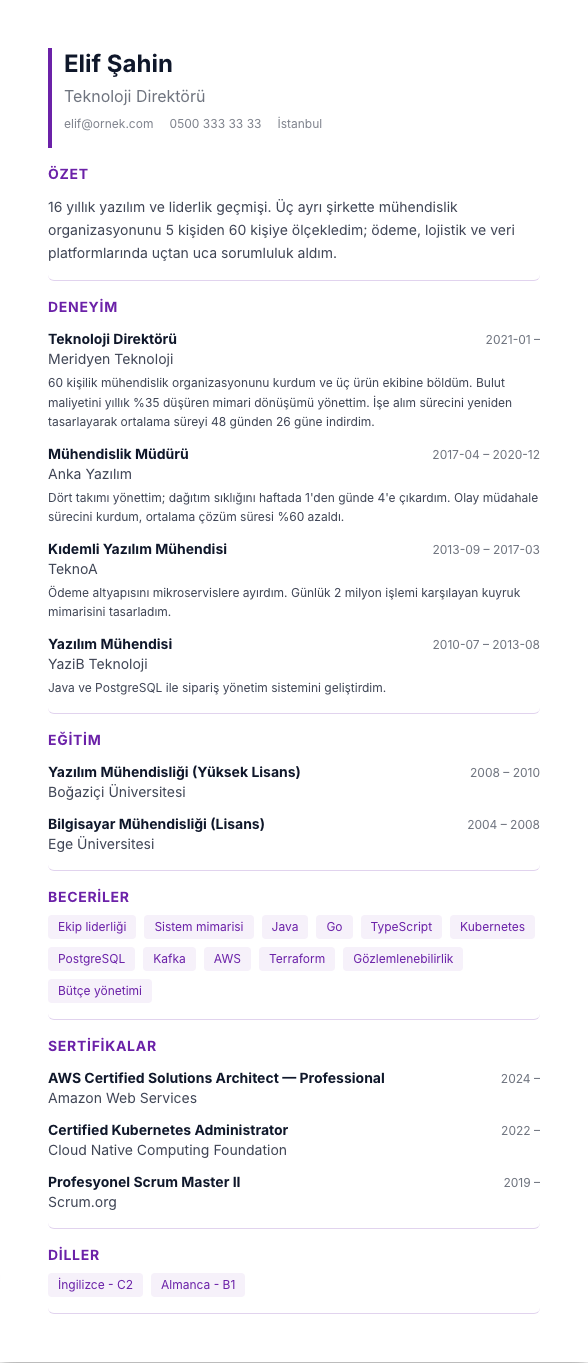 Modern Vurgu CV şablonu - uzun kariyer geçmişi örneğiyle