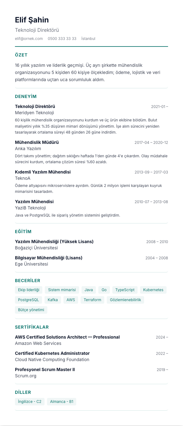 Modern TR CV şablonu - uzun kariyer geçmişi örneğiyle