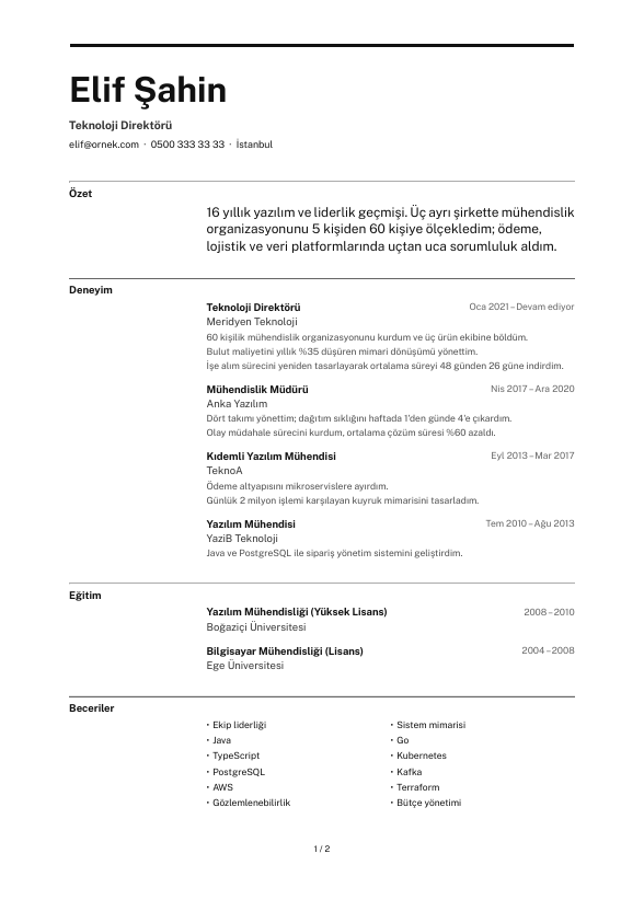 Modül CV şablonu - uzun kariyer geçmişi örneğiyle