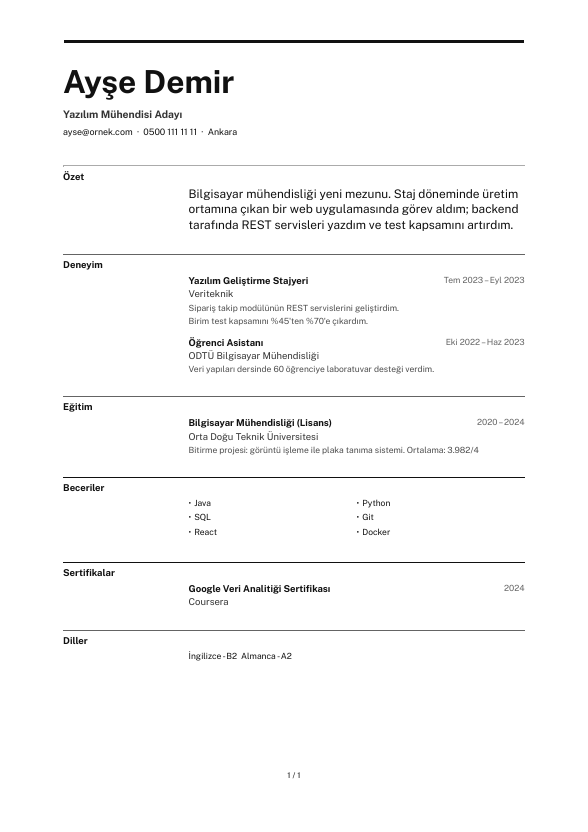 Modül CV şablonu - yeni mezun CV'si örneğiyle