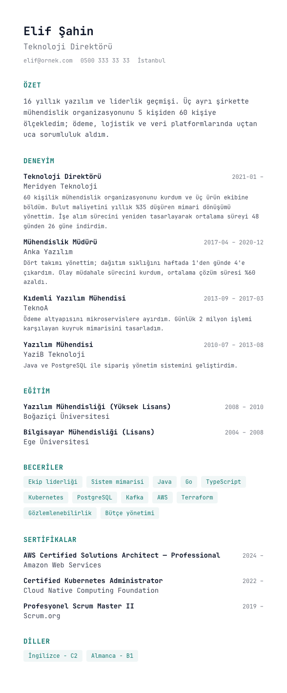 Mono Tech CV şablonu - uzun kariyer geçmişi örneğiyle