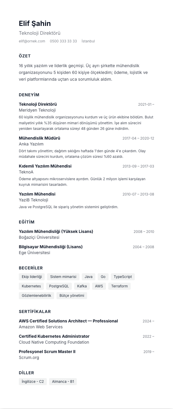 Noktalı Minimal CV şablonu - uzun kariyer geçmişi örneğiyle