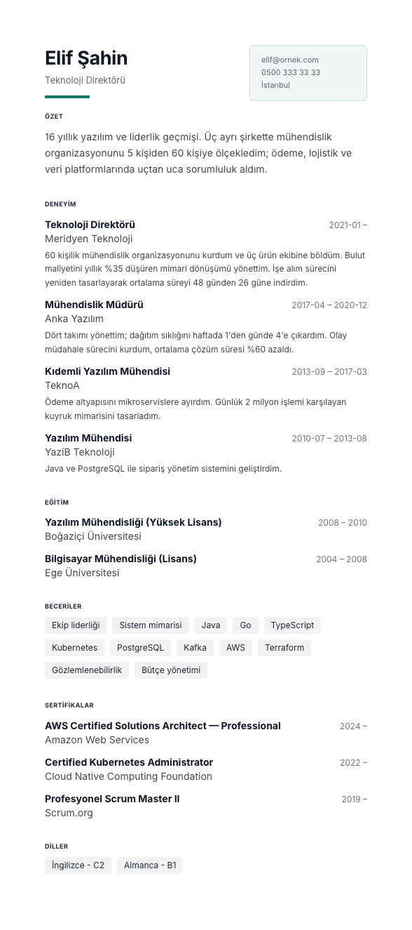 Nordik CV şablonu - uzun kariyer geçmişi örneğiyle