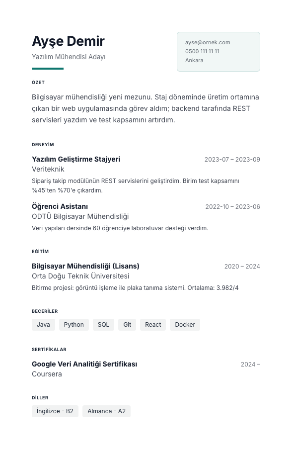 Nordik CV şablonu - yeni mezun CV'si örneğiyle