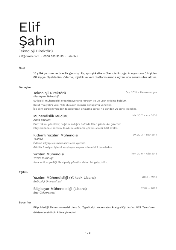 Ölçek CV şablonu - uzun kariyer geçmişi örneğiyle