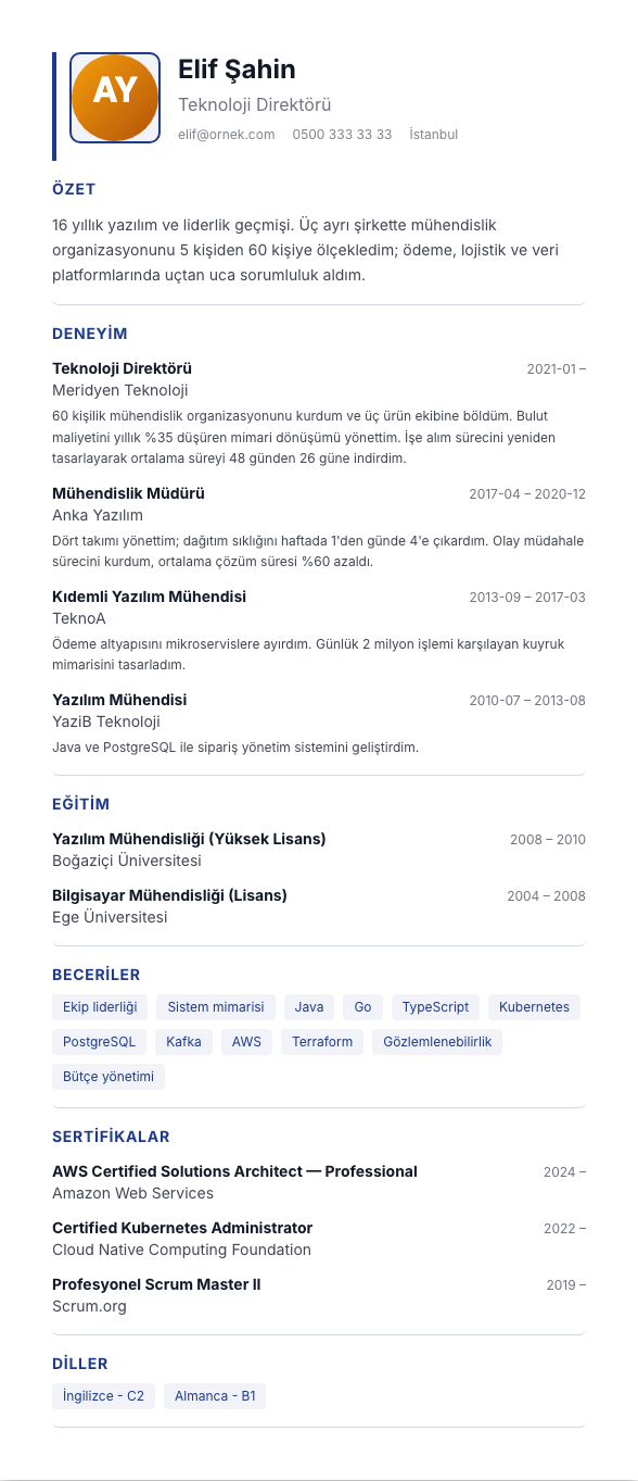 Orta Klasik TR CV şablonu - uzun kariyer geçmişi örneğiyle