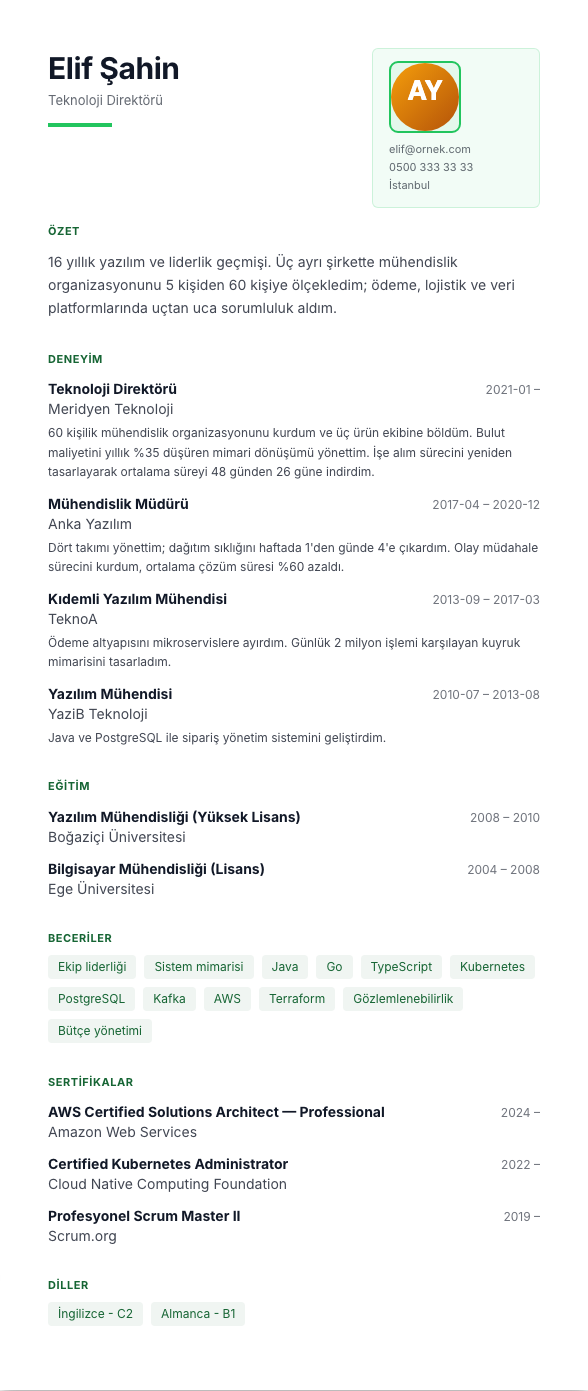 Panorama CV şablonu - uzun kariyer geçmişi örneğiyle