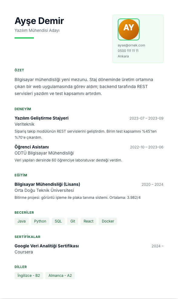 Panorama CV şablonu - yeni mezun CV'si örneğiyle