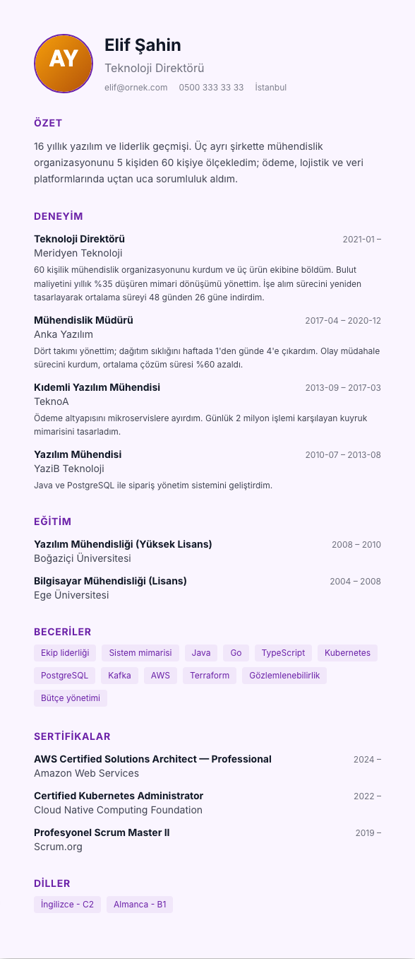 Pastel Zemin CV şablonu - uzun kariyer geçmişi örneğiyle