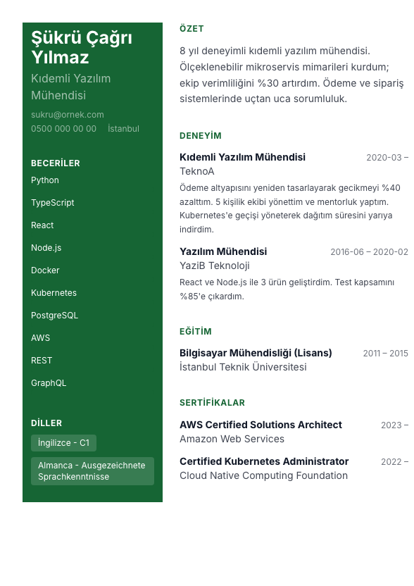 Portfolyo Panel CV şablonu - fotoğrafsız kullanımıyla