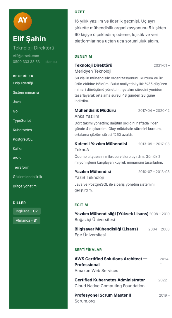 Portfolyo Panel CV şablonu - uzun kariyer geçmişi örneğiyle