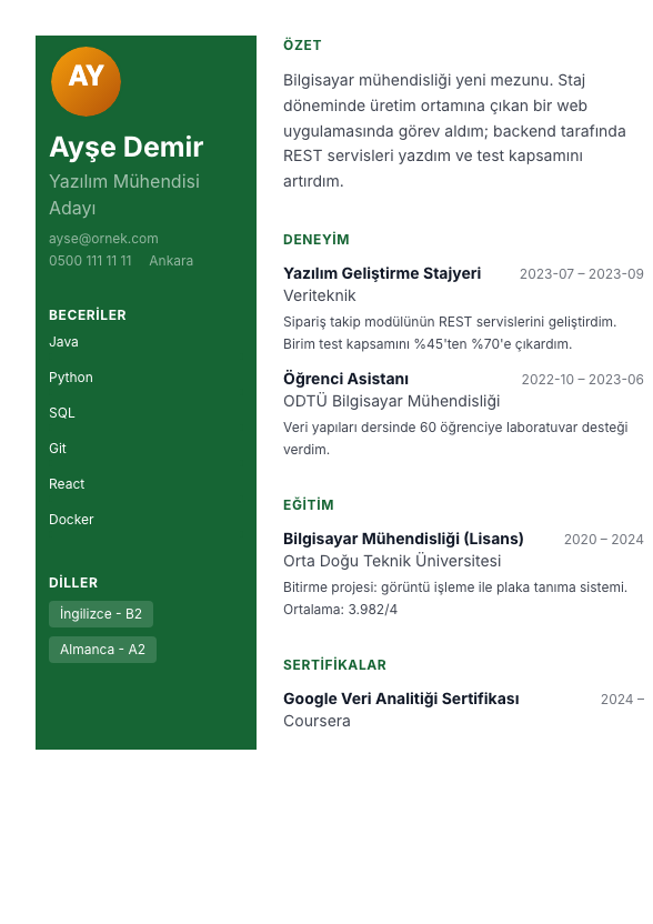 Portfolyo Panel CV şablonu - yeni mezun CV'si örneğiyle