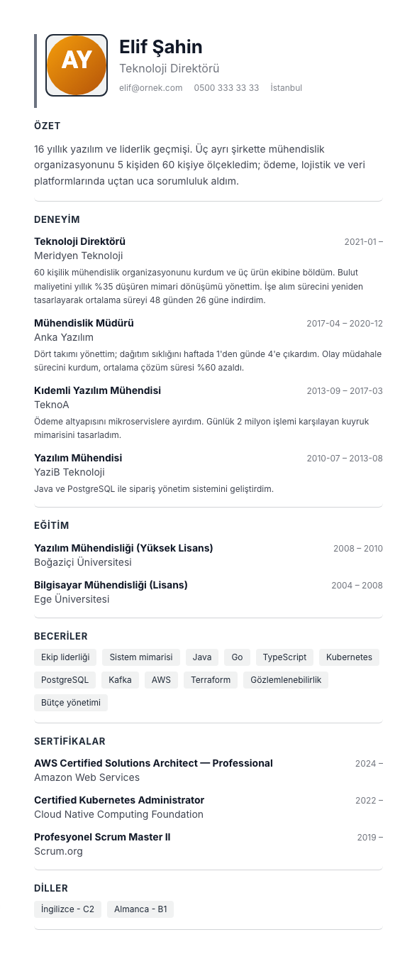 Portre Merkez CV şablonu - uzun kariyer geçmişi örneğiyle