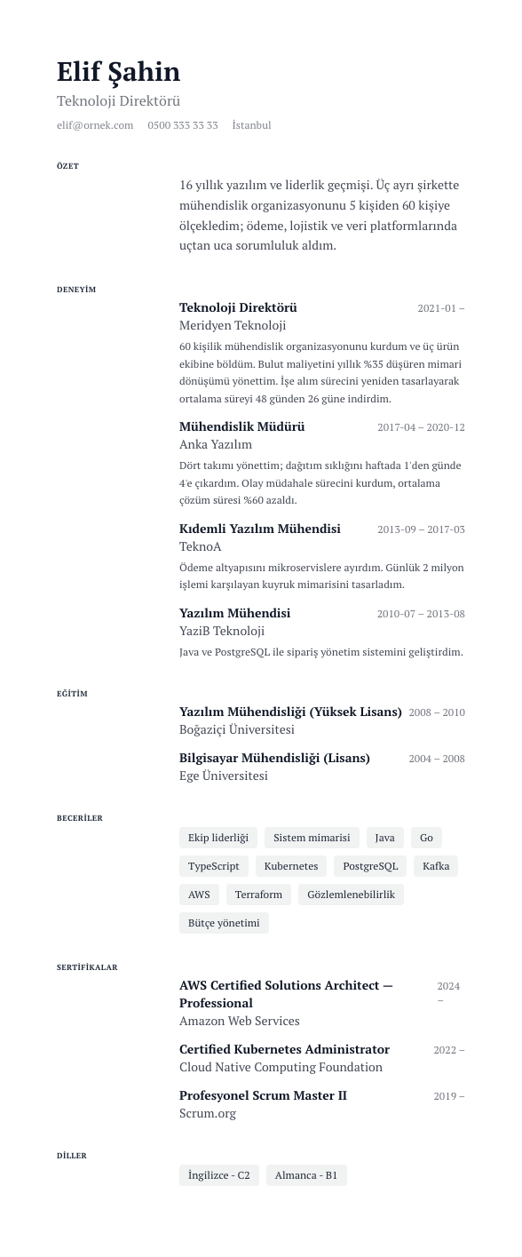 Premium CV şablonu - uzun kariyer geçmişi örneğiyle