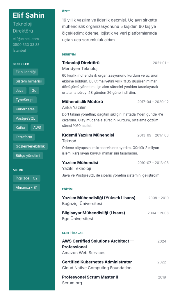 Renkli Sidebar CV şablonu - uzun kariyer geçmişi örneğiyle