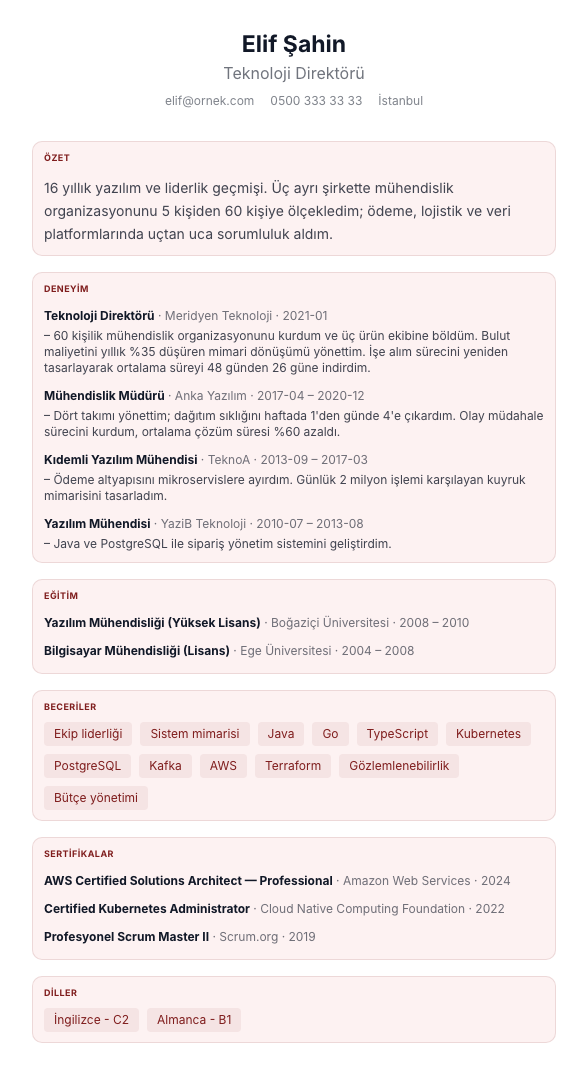 Rozet Kompakt CV şablonu - uzun kariyer geçmişi örneğiyle