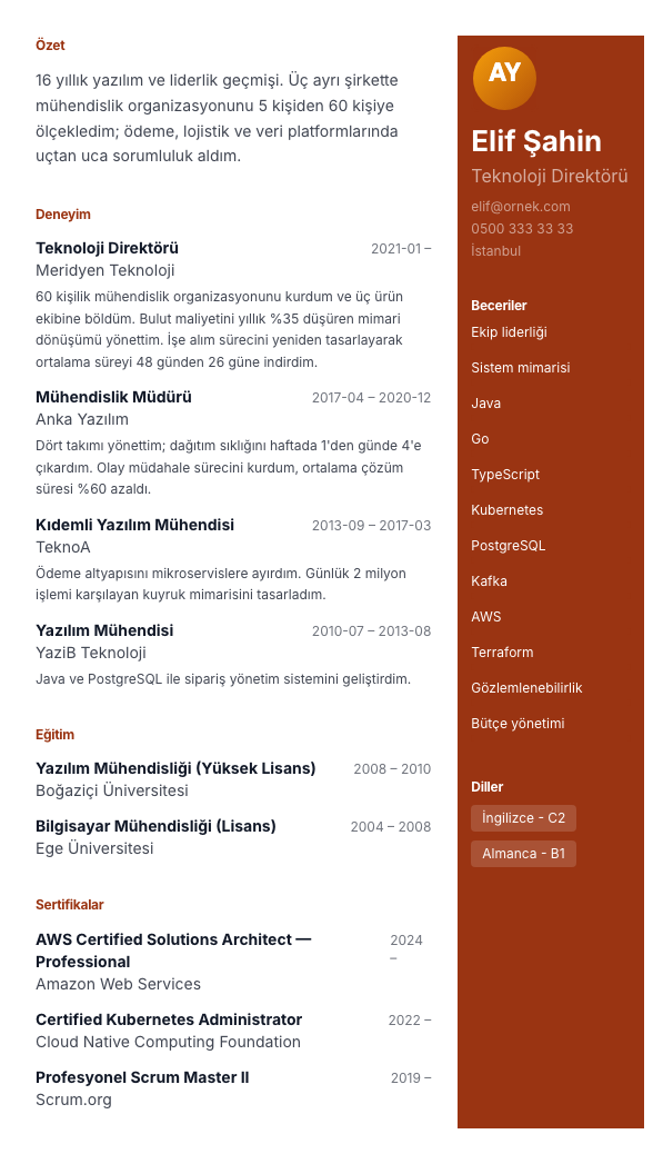 Sağ Panel CV şablonu - uzun kariyer geçmişi örneğiyle