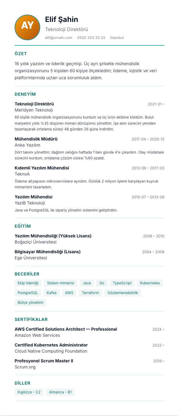 Sağlık CV şablonu - uzun kariyer geçmişi örneğiyle