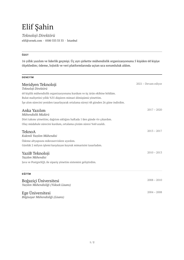 Sessiz Başlık CV şablonu - uzun kariyer geçmişi örneğiyle