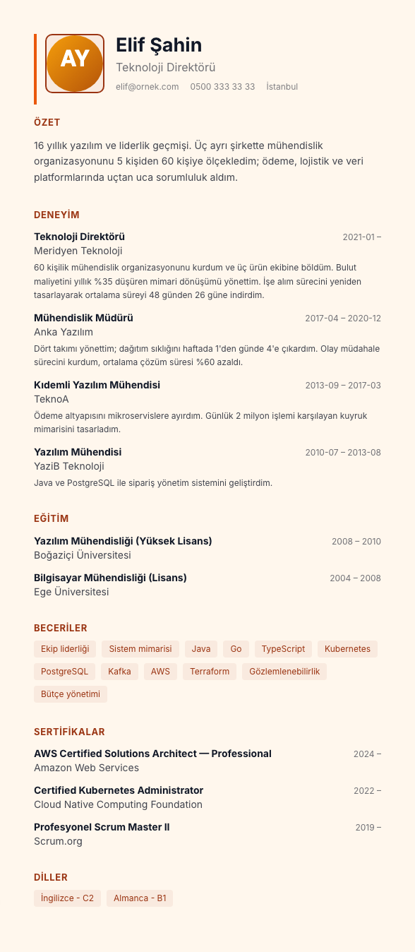Sıcak Kum CV şablonu - uzun kariyer geçmişi örneğiyle