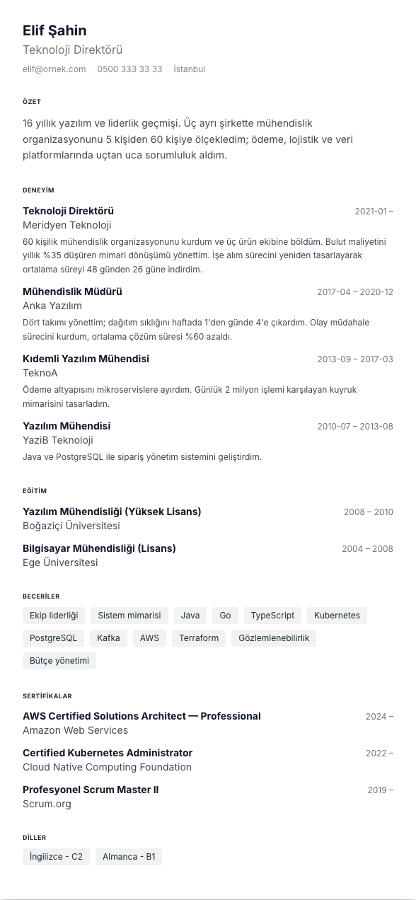 Sıkı Tek Sayfa CV şablonu - uzun kariyer geçmişi örneğiyle