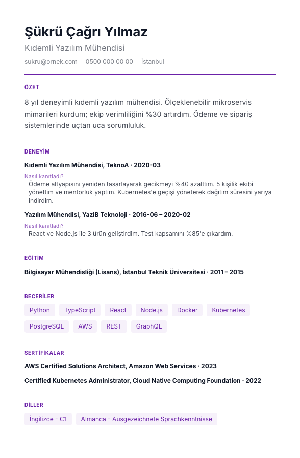 Soru-Cevap CV şablonu önizlemesi - Her deneyim iki soruya cevap verir: ne yaptı, nasıl kanıtladı - görüşme ritmi sayfada