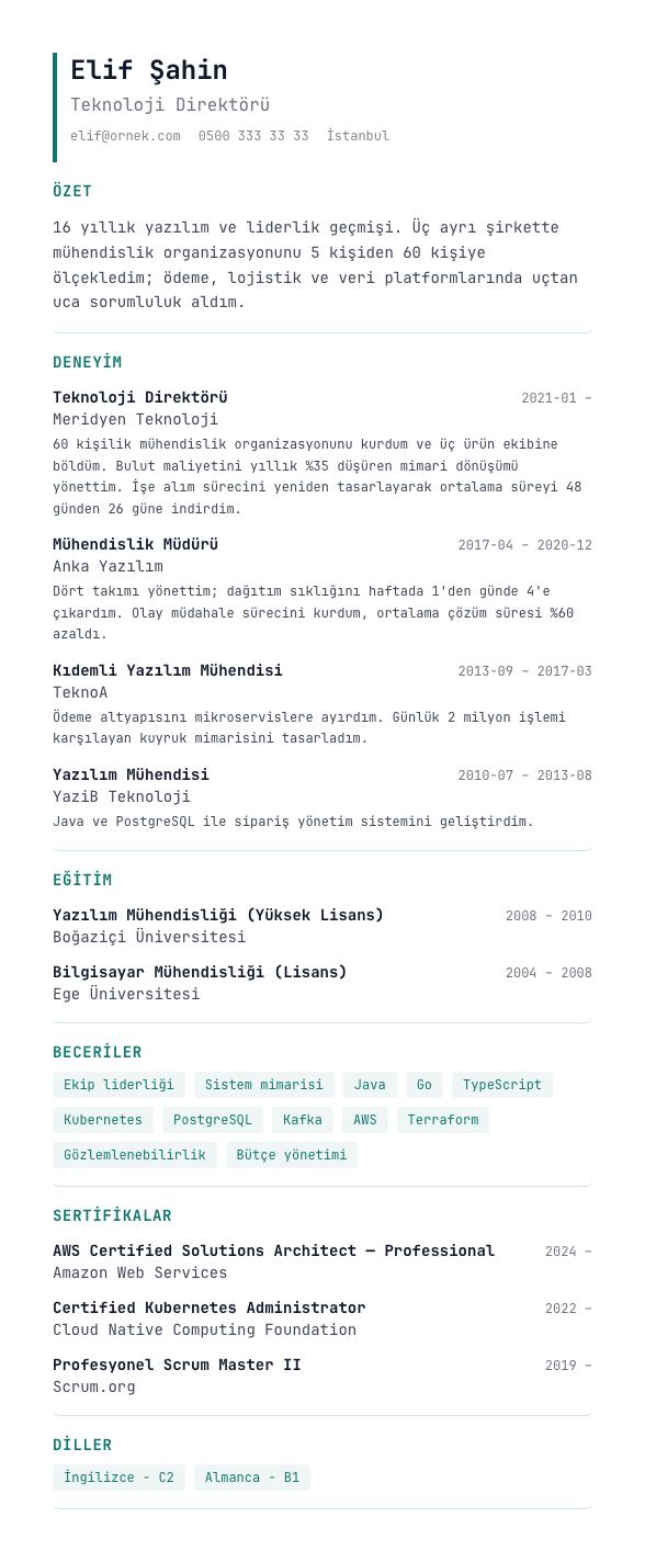 Tech Single CV şablonu - uzun kariyer geçmişi örneğiyle