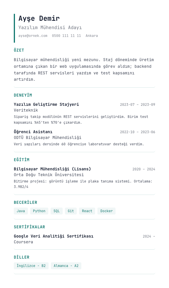 Tech Single CV şablonu - yeni mezun CV'si örneğiyle