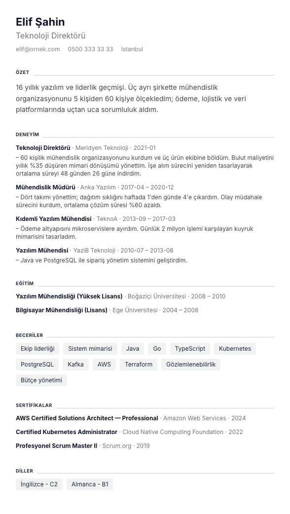 Tek Nefes CV şablonu - uzun kariyer geçmişi örneğiyle