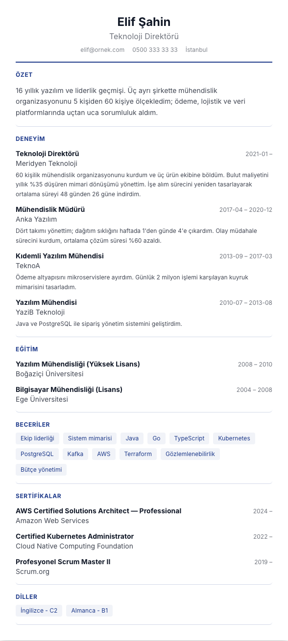Ortalı Modern CV şablonu - uzun kariyer geçmişi örneğiyle