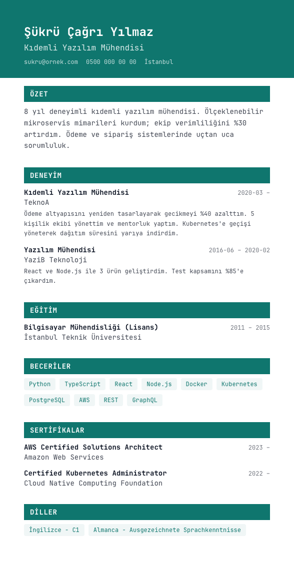 Terminal CV şablonu - alternatif vurgu rengiyle